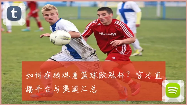 如何在线观看篮球欧冠杯？官方直播平台与渠道汇总