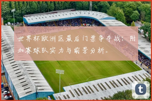 世界杯欧洲区最后门票争夺战：附加赛球队实力与前景分析。
