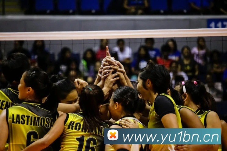 乐鱼官方网站在线注册平台生态图