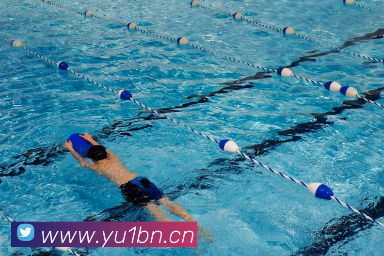 乐鱼官方网站在线注册全站App